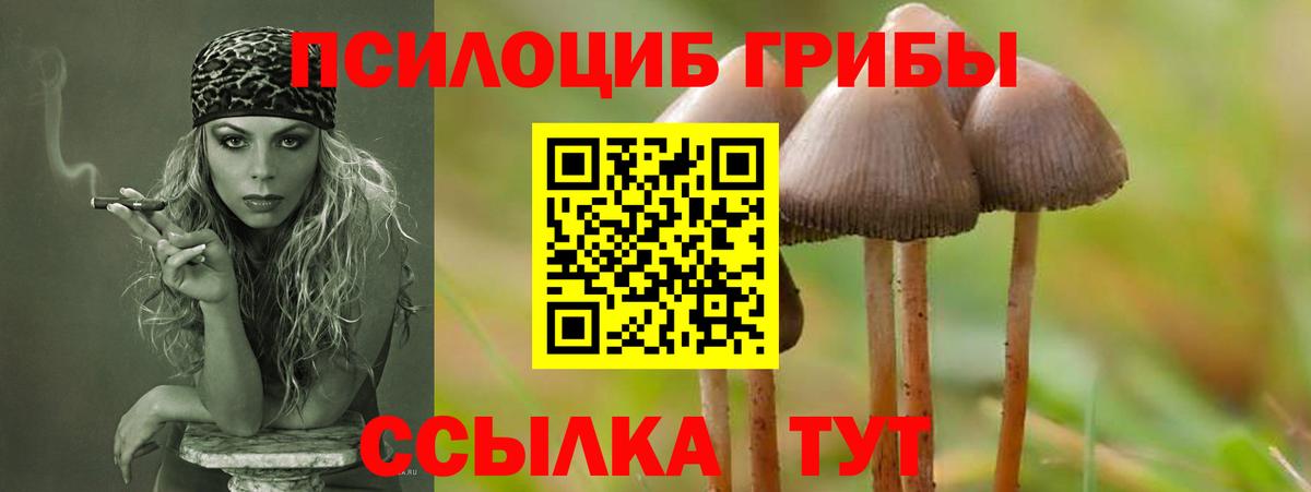 Туапсе  где можно купить   Вход с VPN  Галлюциногенные грибы GOLDEN TEACHER  Галлюциногенные грибы прущие грибы 